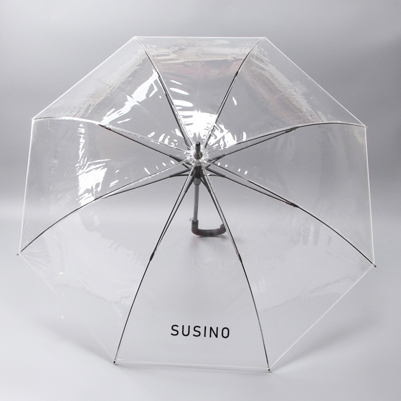 clear transparent umbrella